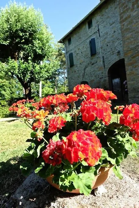 B&B Cortebonomini Apartment Neviano degli Arduini